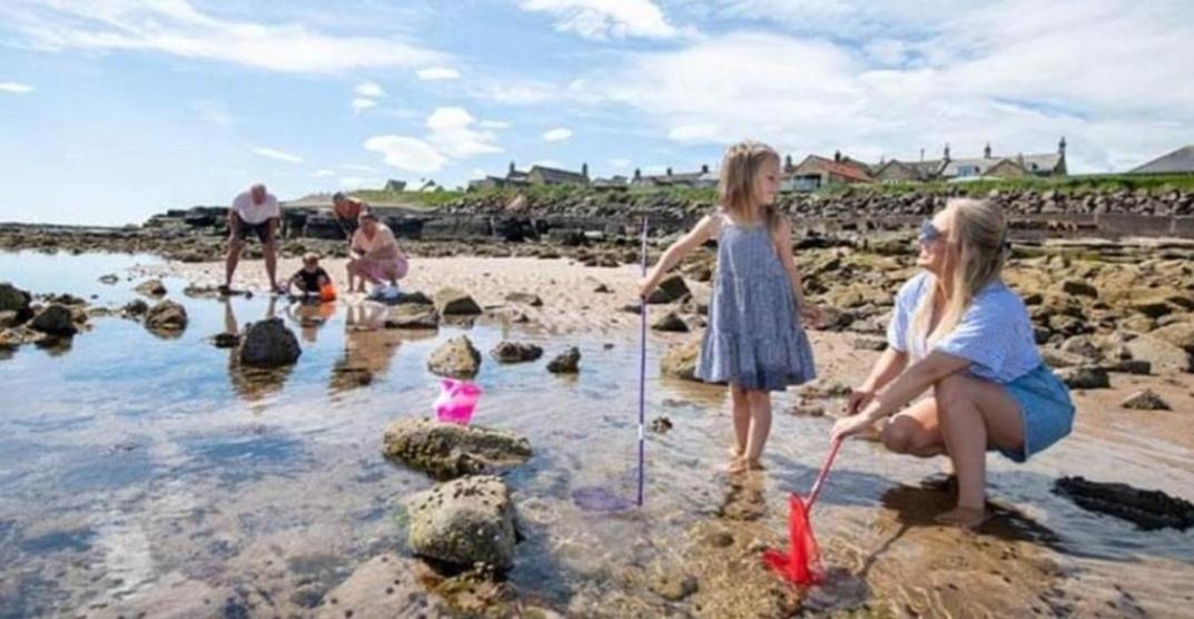 Martha'S Inn Cresswell Cresswell  ภายนอก รูปภาพ